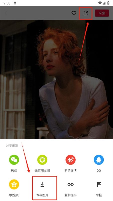 花瓣网app安卓手机版