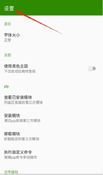 python编译器手机版中文2024安卓版