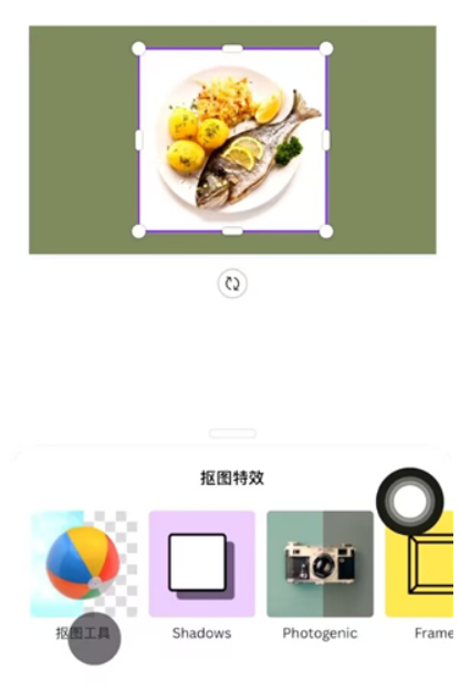Canva可画最新下载2024官方安卓版