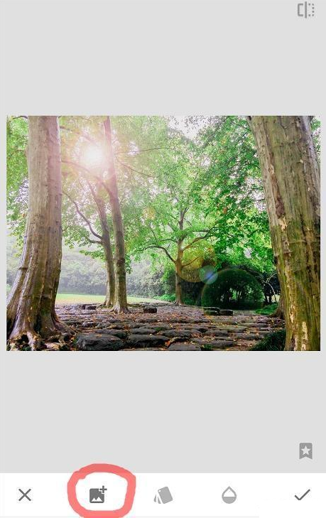snapseed官方正版免费版