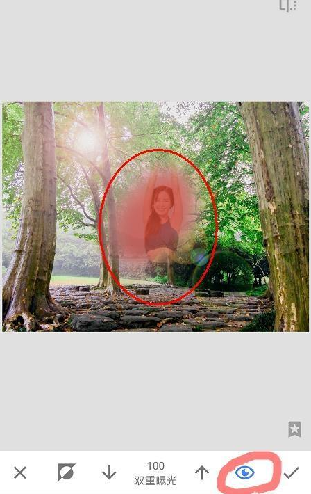 snapseed官方正版免费版