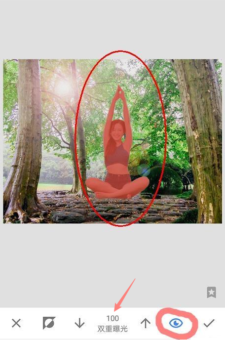 snapseed官方正版免费版