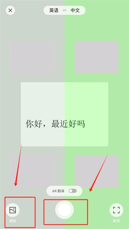 腾讯翻译君在线翻译app最新版2024